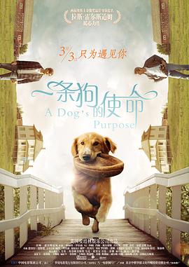 美女福利一区